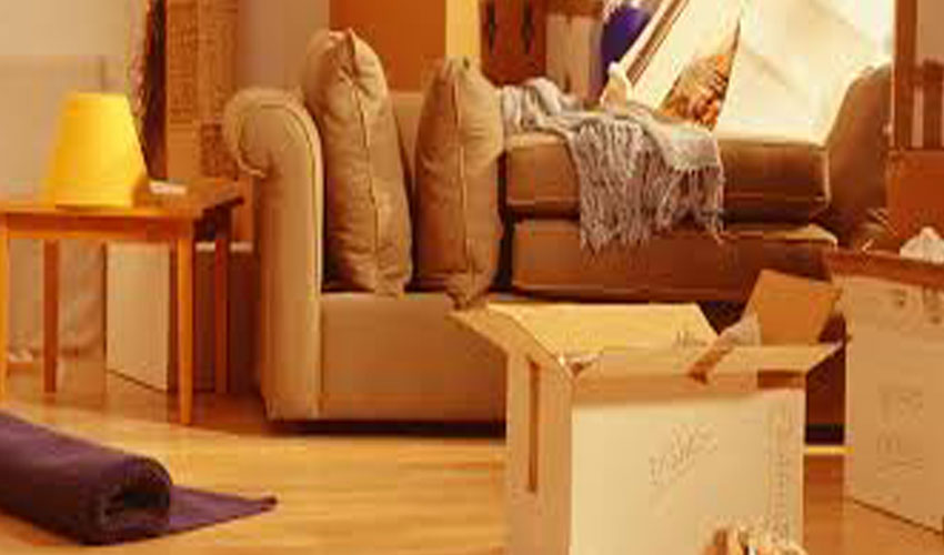 Packers and Movers in Adyar